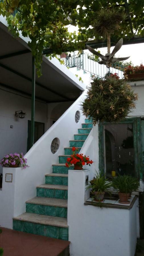 Il Gelso Apartment Анакапри Екстериор снимка