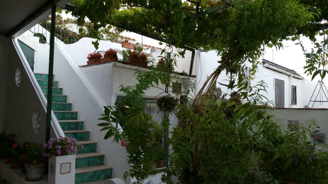 Il Gelso Apartment Анакапри Екстериор снимка